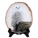 SUNYIK Natural Geode Agate Slice Display with Wooden Stand, Irregular Agate Slab Tabletop Desktop for Office Home Decor, Landscape-4