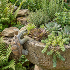Turtle Statue for Outdoor Decor, Garden Turtle Figurine for Pond, Lawn, Patio, Resin Tortoise Ornament for Home & Yard
